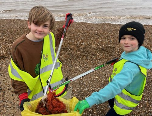 Half Term Litter Picking